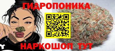 молекула духа Ирбит