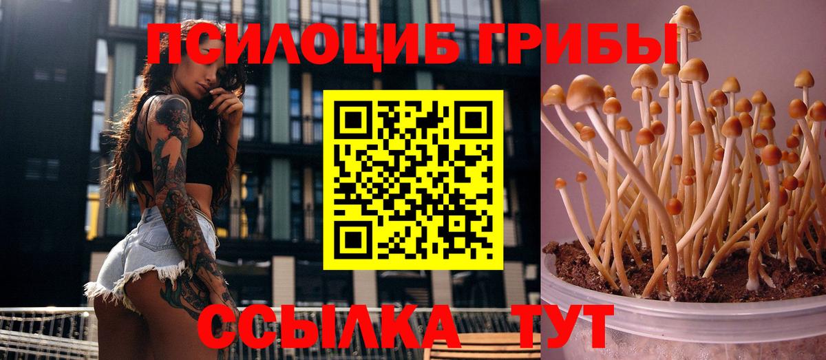 закладка  Вход с VPN  Галлюциногенные грибы Cubensis  Арзамас  Псилоцибиновые грибы GOLDEN TEACHER 